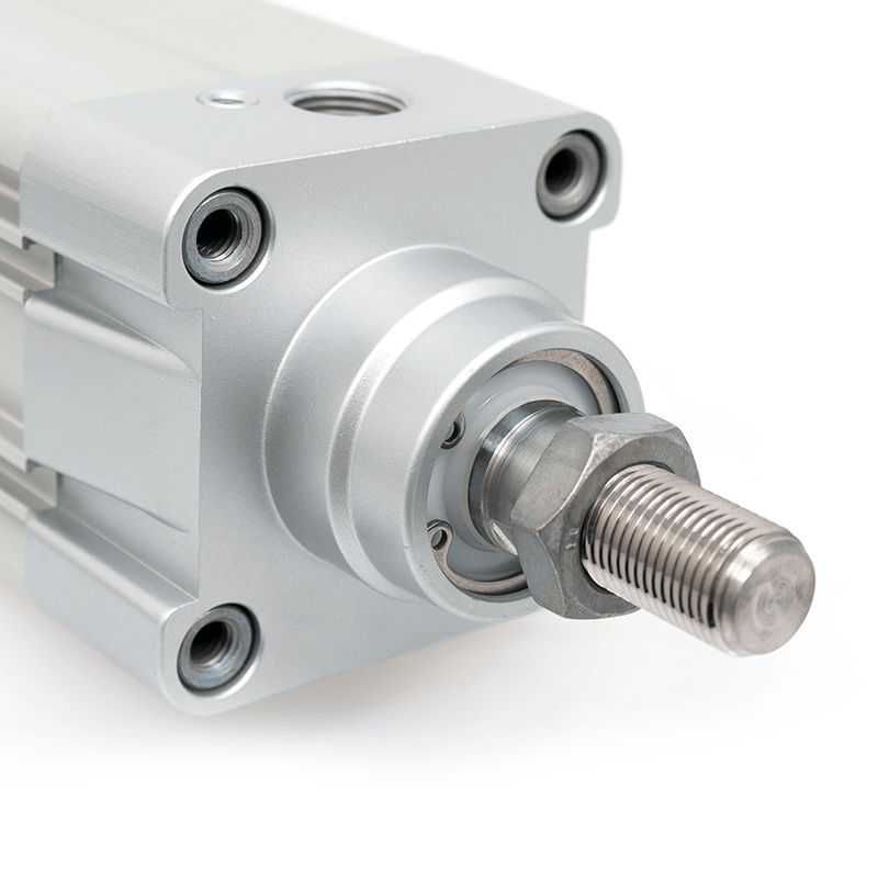 MelQ cylinders